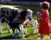 Old Family Picture Book 003.jpg